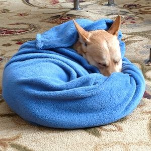 Meet your Posher, April